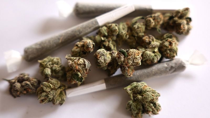 El cannabis podría ser reclasificado como una sustancia menos riesgosa: cinco aspectos clave que necesitas conocer.