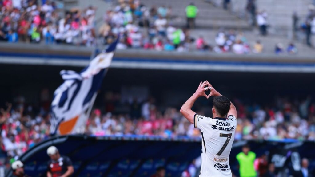 Los Pumas se reinventan en su camino de regreso a las raíces