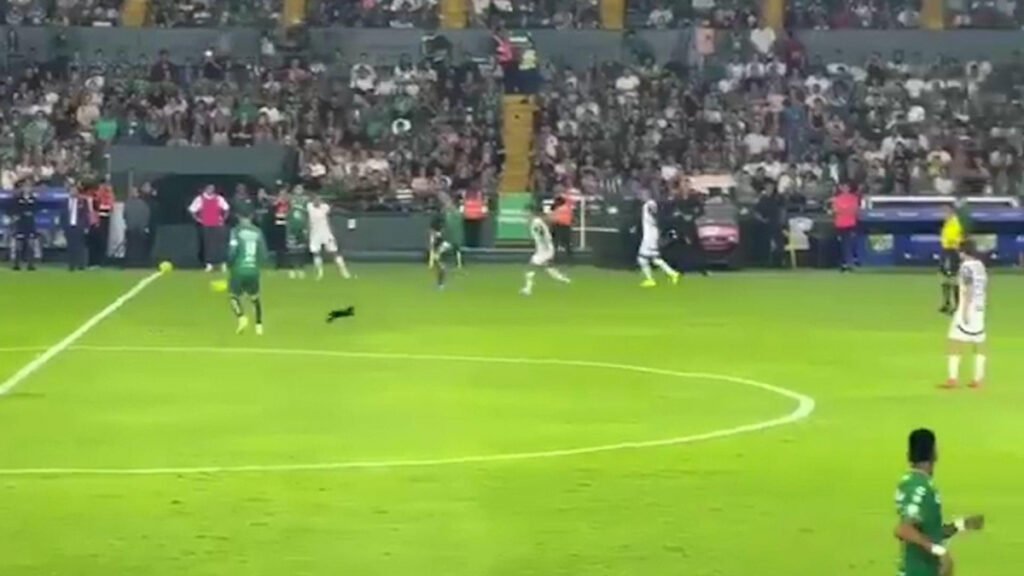 Un gato negro interfiere y James Rodríguez es despedido mientras Sergio Ramos sufre una lesión