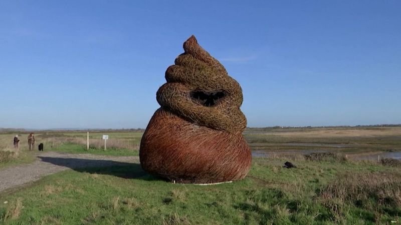 Una escultura de mimbre inspirada en el emoji de “caca” provoca debate entre los espectadores.