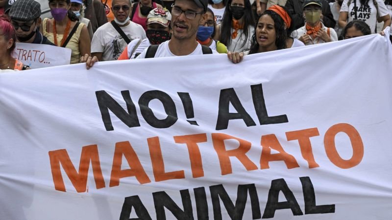 ¿Cuáles son las novedades del reciente proyecto de ley sobre maltrato animal en Argentina?