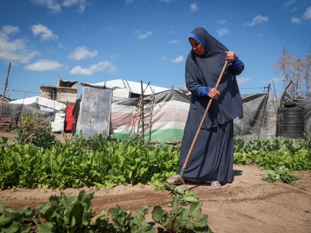 Día de la Tierra en Gaza: Entre la memoria y la lucha por lo que queda
